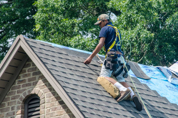 Best Roof Leak Repair  in Charlotte, TN